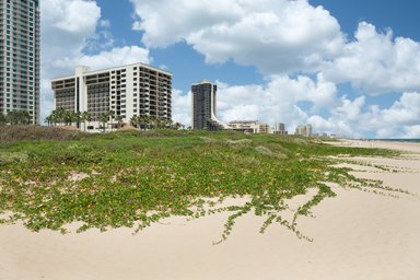 Hotel PEARL SOUTH PADRE