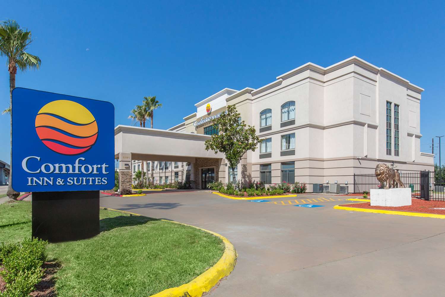 Hotel COMFORT INN & SUITES HOUSTON