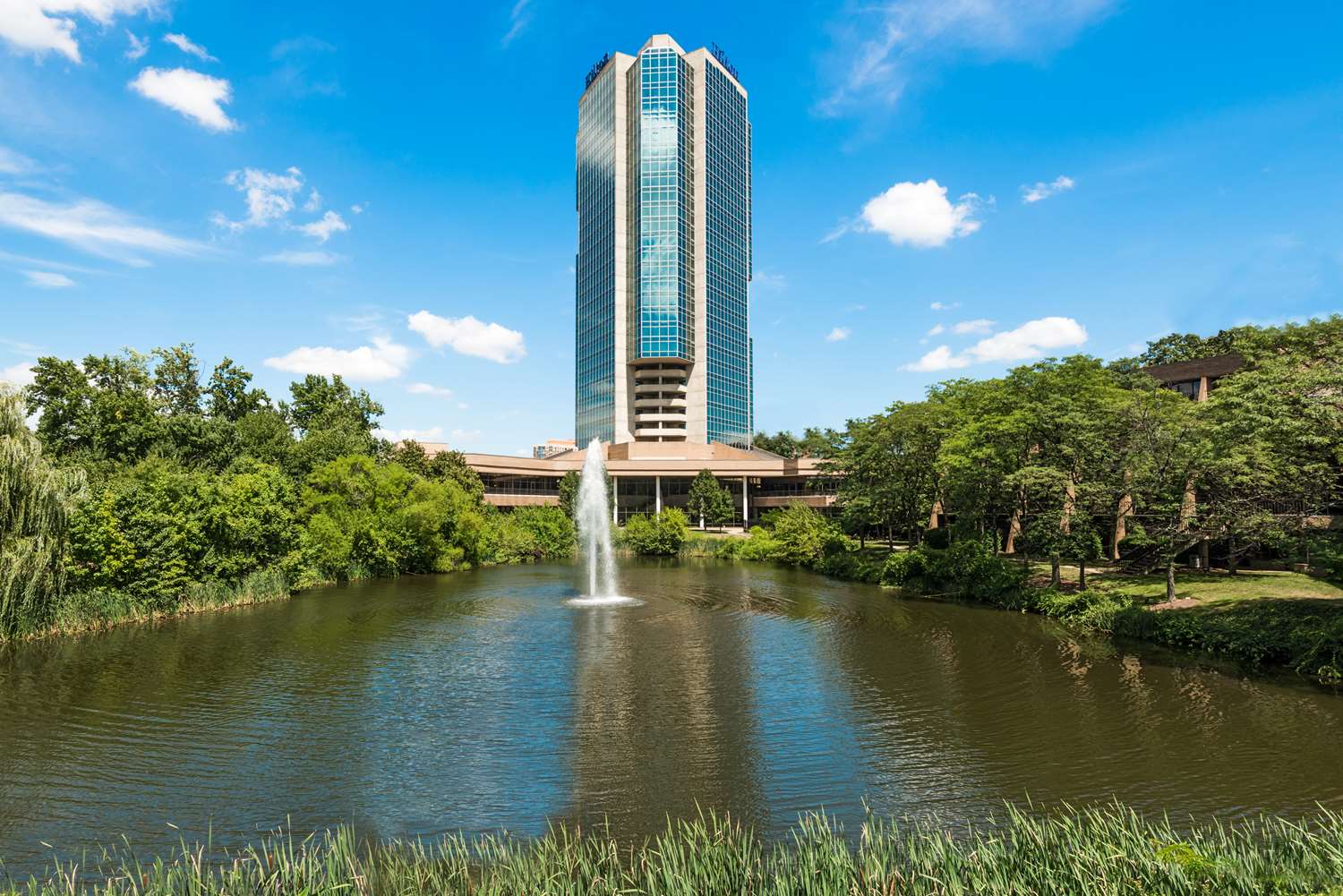 Hotel HILTON ALEXANDRIA MARK CENTER