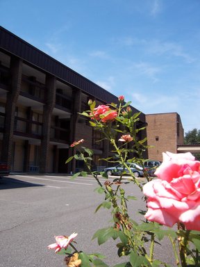 Hotel VIENNA WOLF TRAP HOTEL / TYSONS CORNER