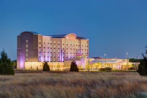 Hotel HILTON GARDEN INN DALLAS-ARLINGTON SOUTH