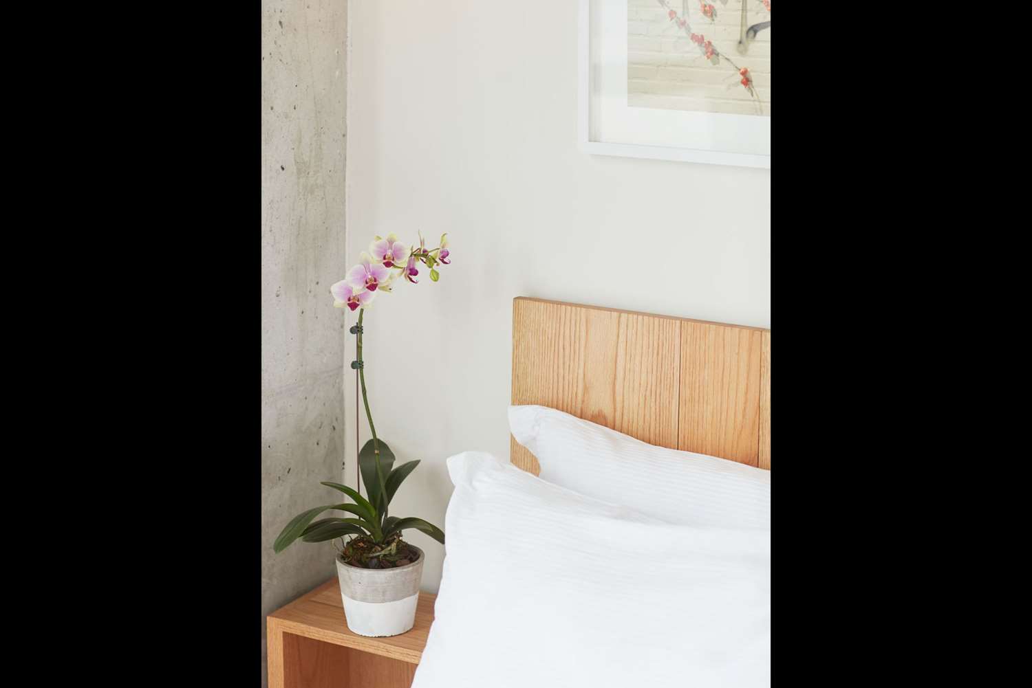 Hotel BALTIC HUIS, AN ASCEND HOTEL COLLECTION MEMBER