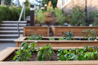 Hotel SALISH LODGE & SPA