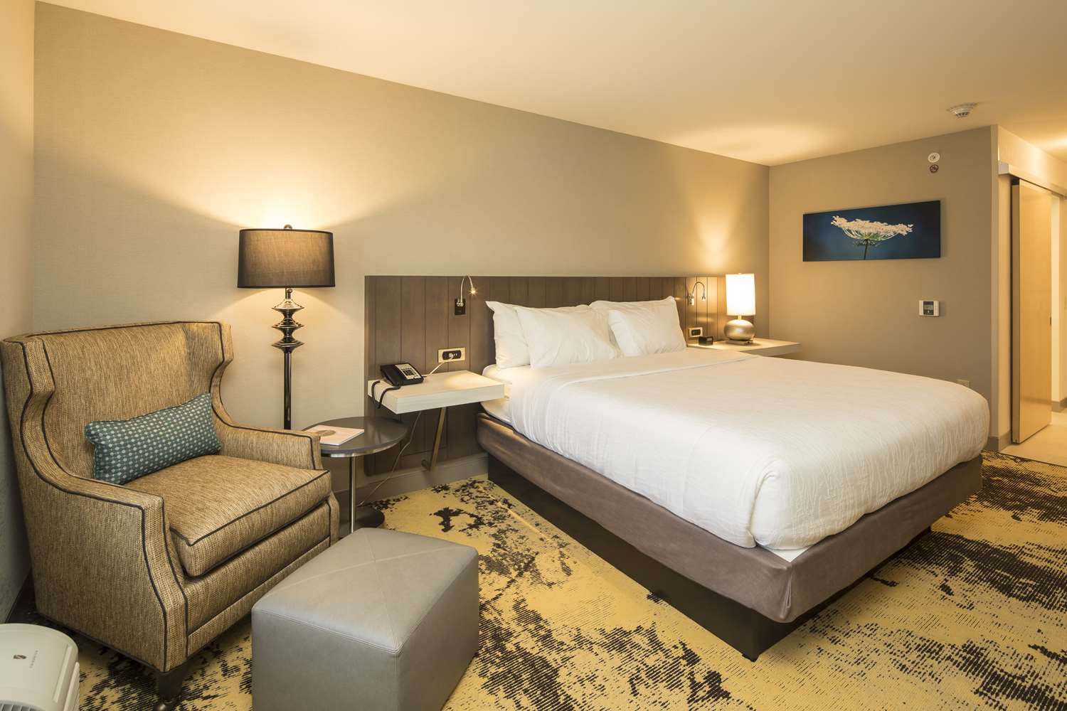 Hotel HILTON GARDEN INN PITTSBURGH AIRPORT