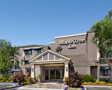 Hotel MAPLE TREE INN