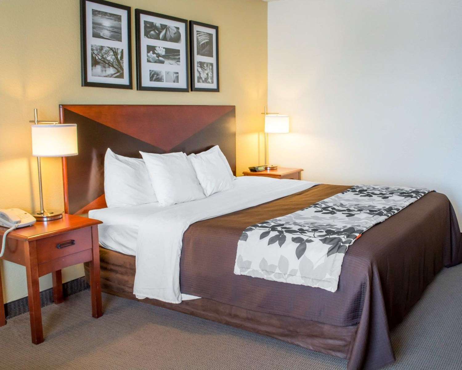 Hotel SLEEP INN & SUITES
