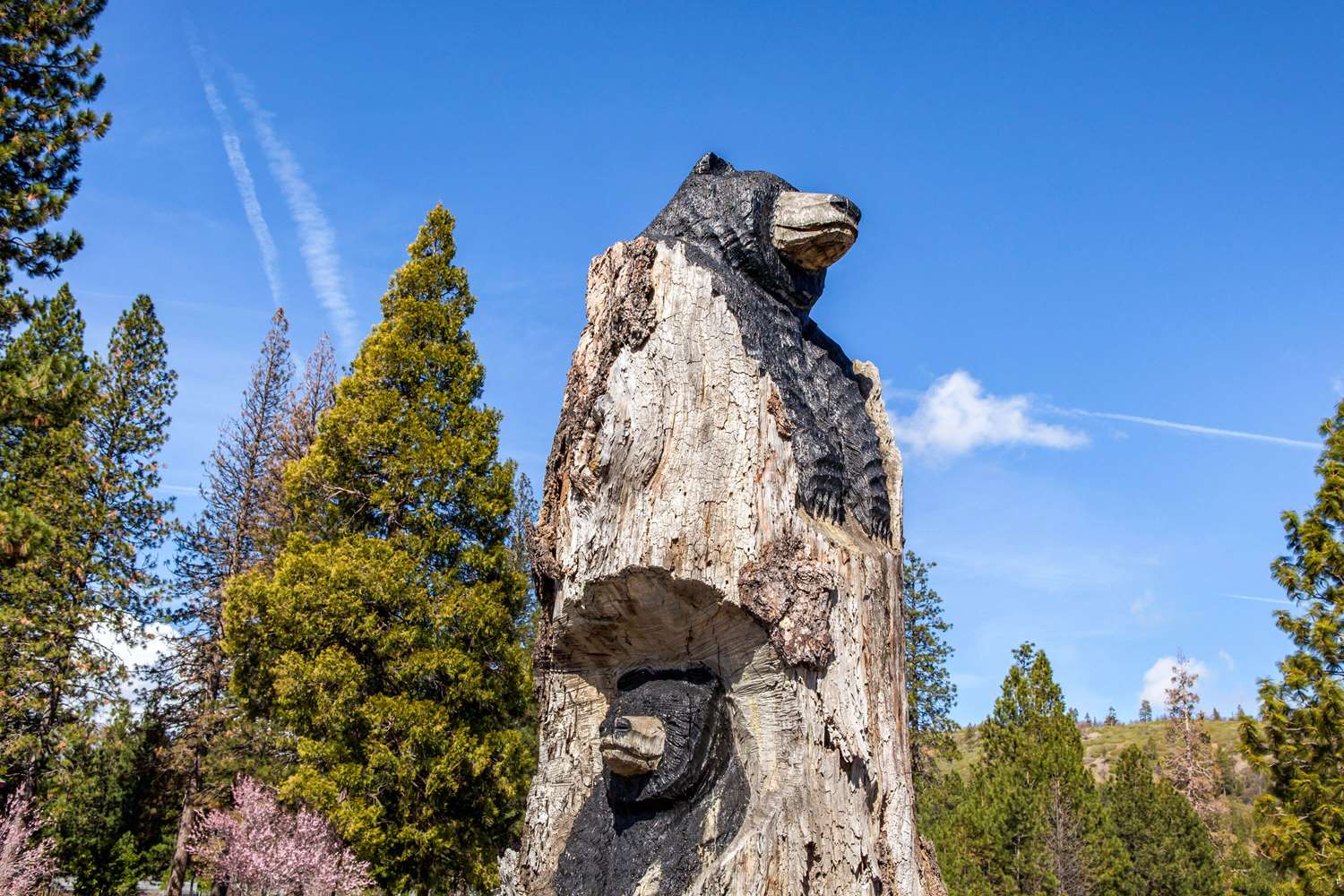 Hotel COMFORT INN MOUNT SHASTA AREA