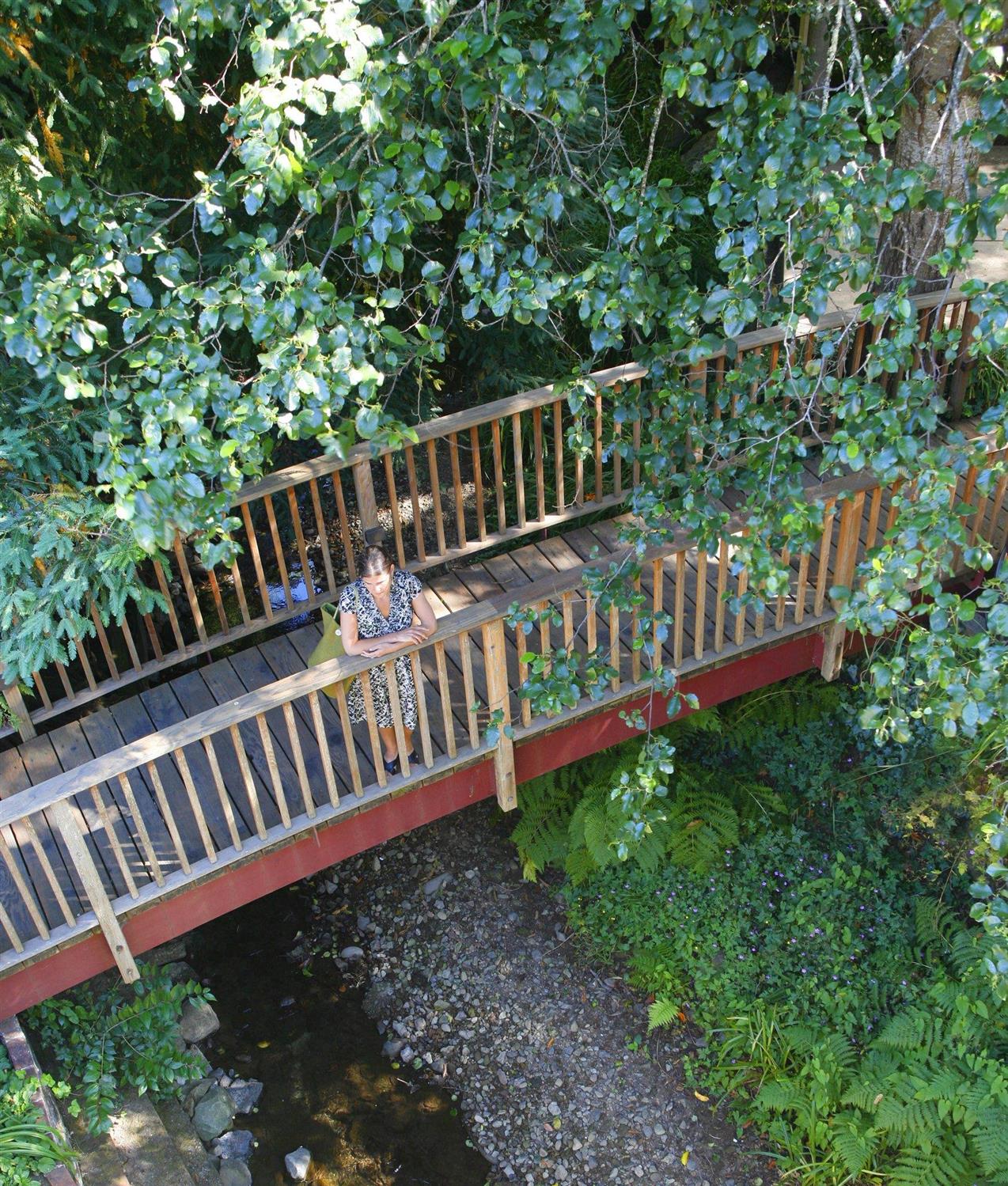 Hotel MILL VALLEY INN  MARIN COUNTY
