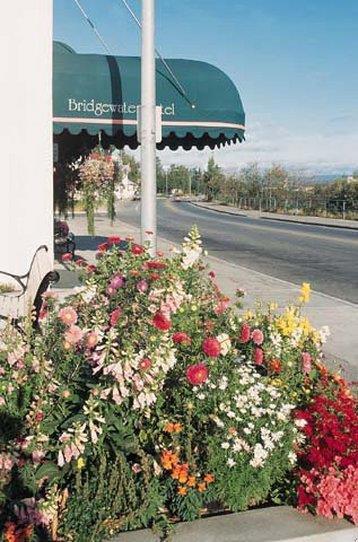 Hotel BRIDGEWATER HOTEL