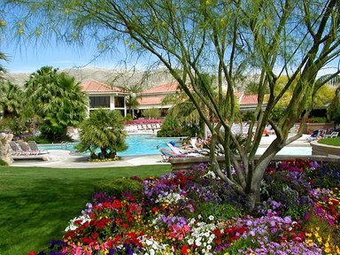 Hotel MIRACLE SPRINGS RESORT AND SPA