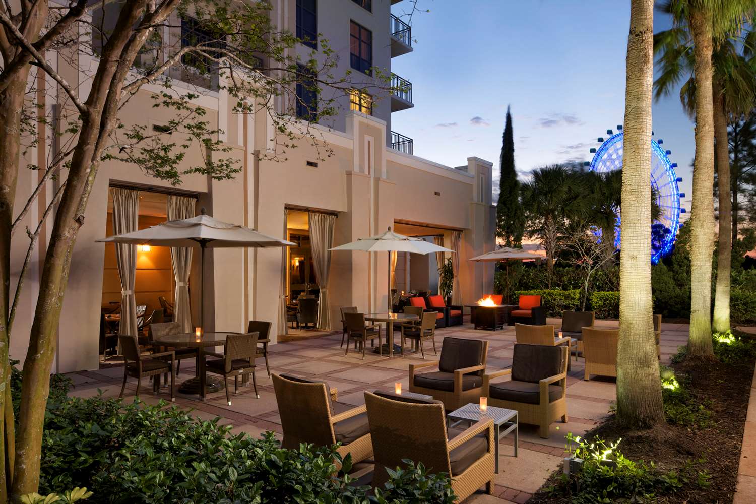 Hotel LAS PALMERAS BY HILTON GRAND VACATIONS