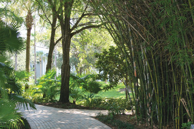 Hotel MARRIOTT'S CYPRESS HARBOUR VILLAS
