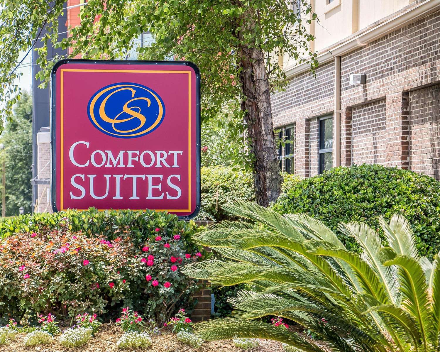 Hotel COMFORT SUITES HISTORIC DISTRICT