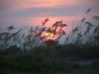 Hotel TYBEE ISLAND INN
