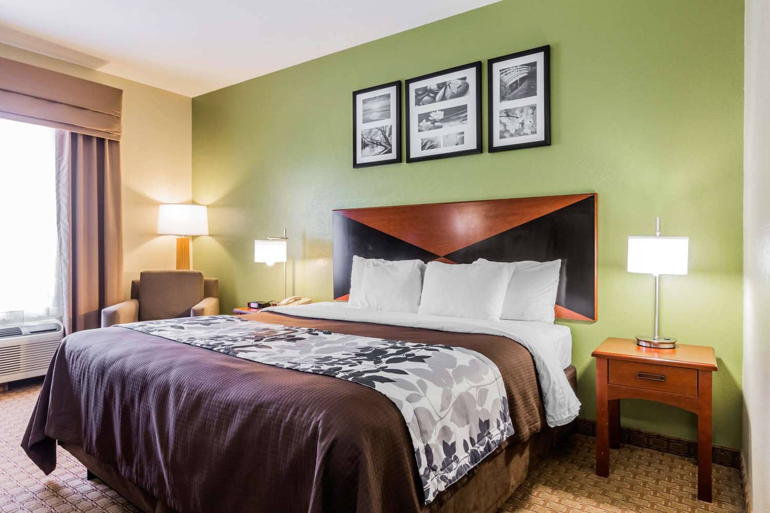Hotel SLEEP INN & SUITES MILLBROOK - PRATTVILLE