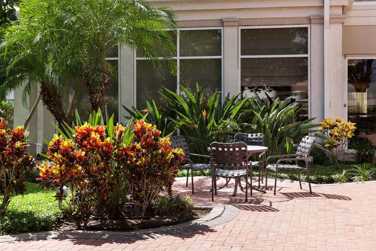 Hotel HILTON GARDEN INN MCALLEN AIRPORT