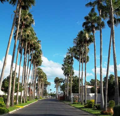 Hotel VICTORIA PALMS INN AND SUITES
