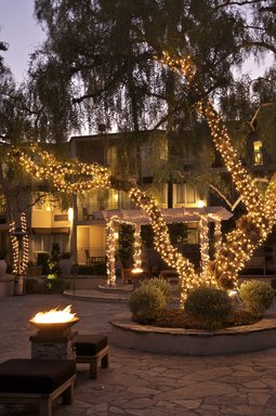 Hotel THE BELAMAR