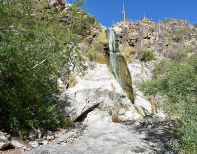 Hotel LOEWS VENTANA CANYON RESORT