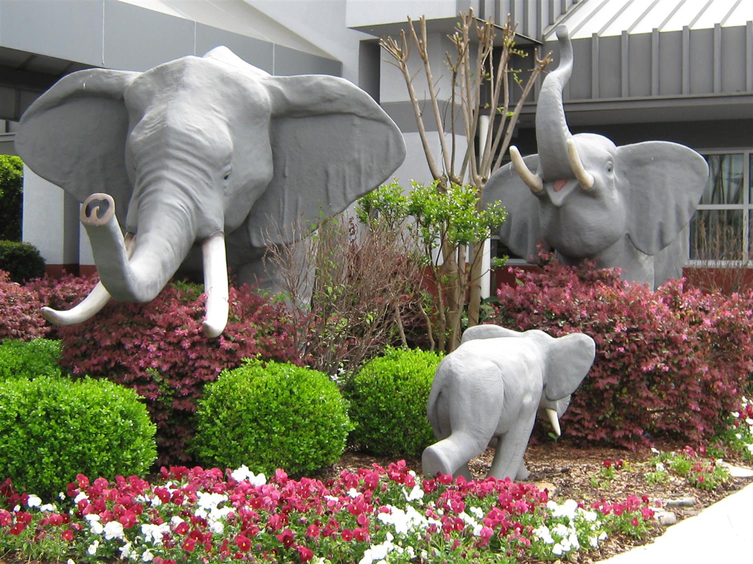 Hotel BEST WESTERN UNIVERSITY INN