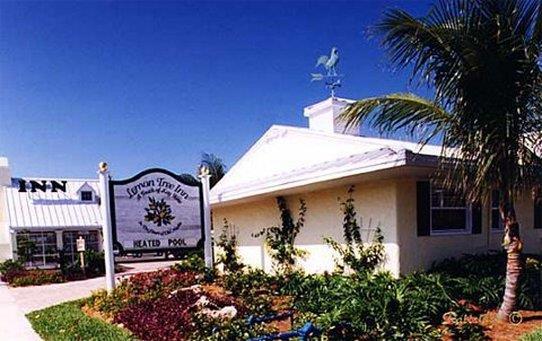 Hotel LEMON TREE INN