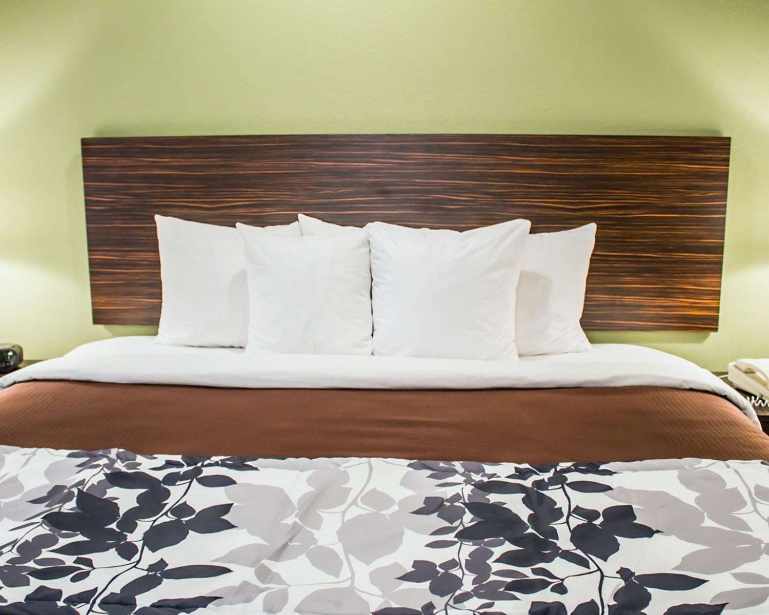 Hotel SLEEP INN SUMMERSVILLE