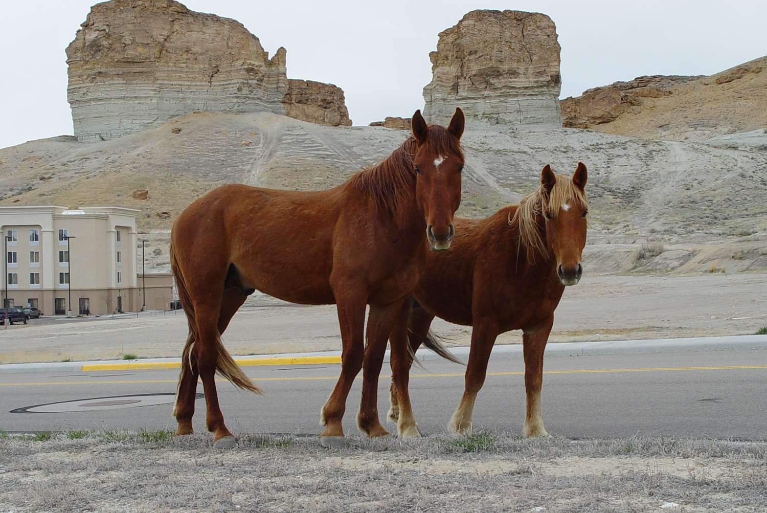 Hotel HAMPTON INN - SUITES GREEN RIVER