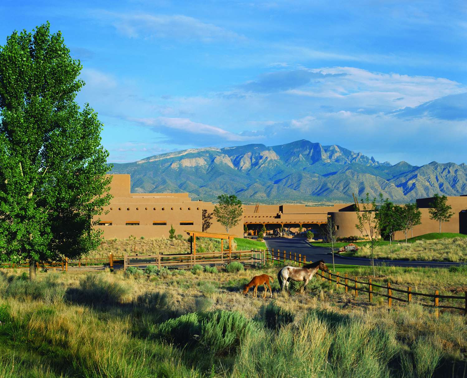Hotel HYATT REGENCY TAMAYA RESORT AND SPA