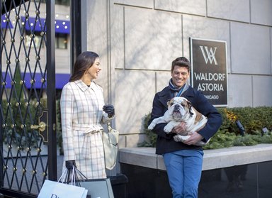 Hotel WALDORF ASTORIA CHICAGO