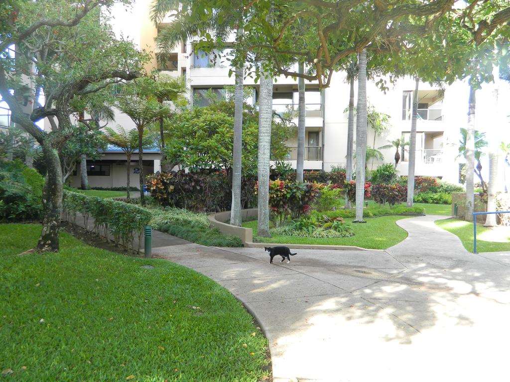 Hotel THE SANDS OF KAHANA VACATION CLUB