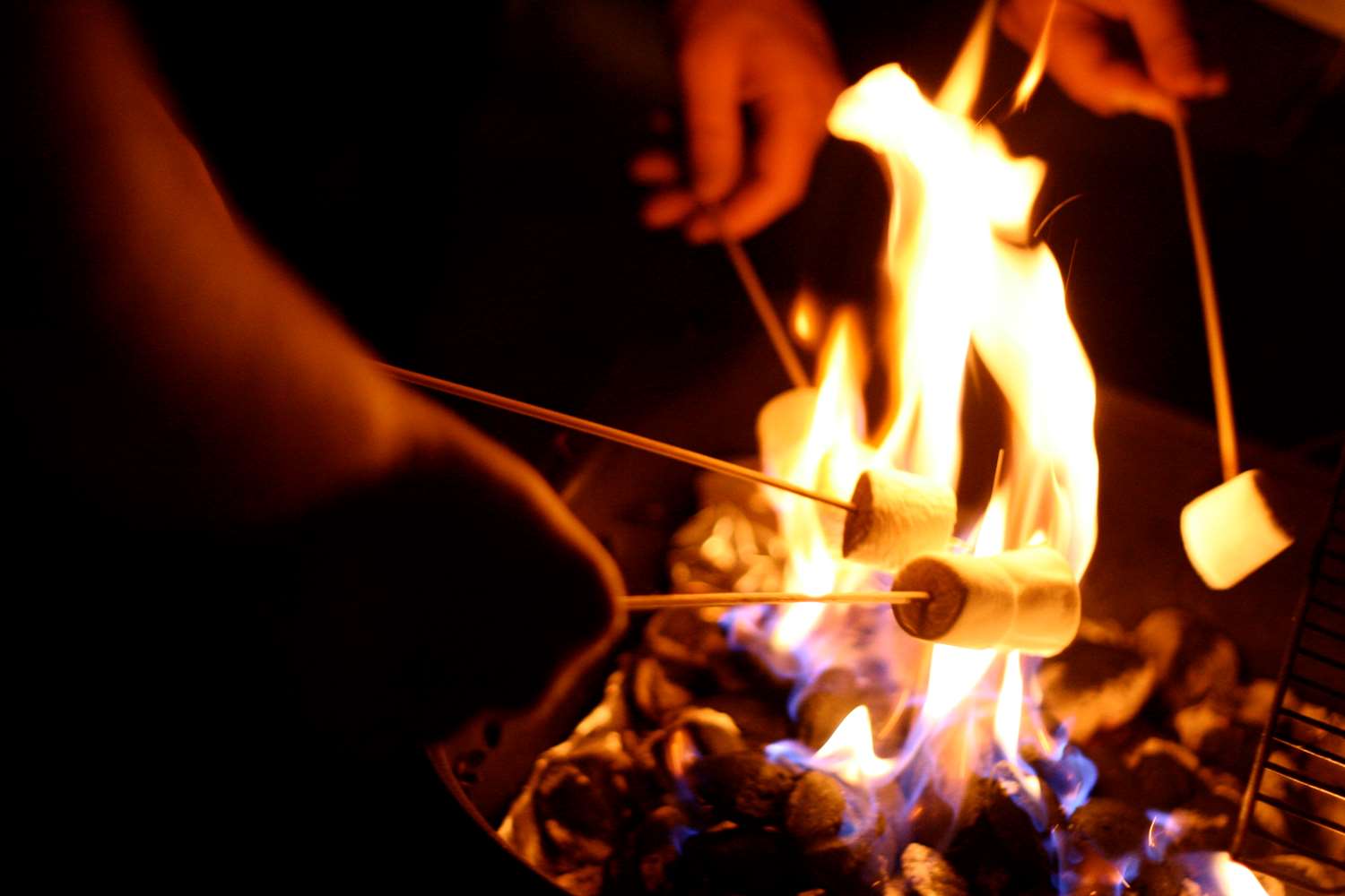 Hotel HOTEL DEL CORONADO CURIO BY HILTON