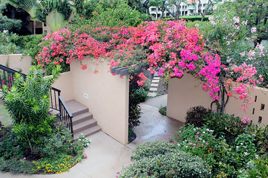 Hotel WAILEA EKAHI VILLAGE