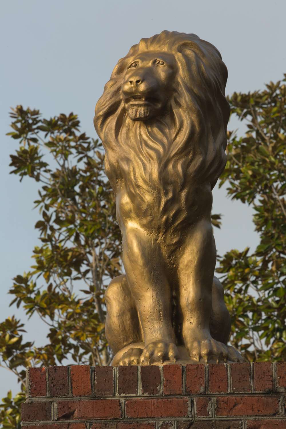 Hotel ELLINGTON AT WACHESAW EAST