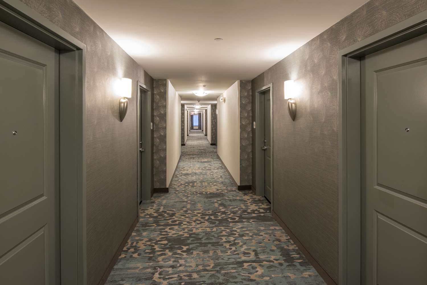 Hotel HILTON GARDEN INN MOUNT HOLLY-WESTAMPTON