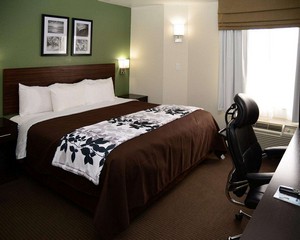 Hotel SLEEP INN HORN LAKE