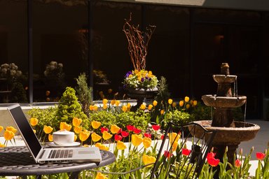 Hotel BOSTON MARRIOTT PEABODY