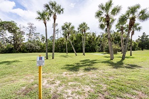 Hotel MOTEL 6 SPRING HILL WEEKI WACHEE