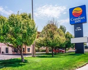 Hotel QUALITY INN AND SUITES ROSWELL