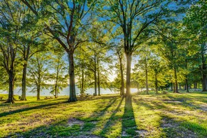 Hotel DAYS INN HERNANDO