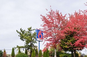Hotel MOTEL 6 SEATTLE SEA-TAC AIRPORT