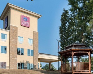 Hotel COMFORT SUITES PALESTINE