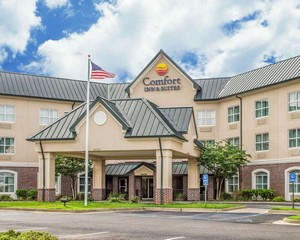Hotel COMFORT INN & SUITES DAPHNE