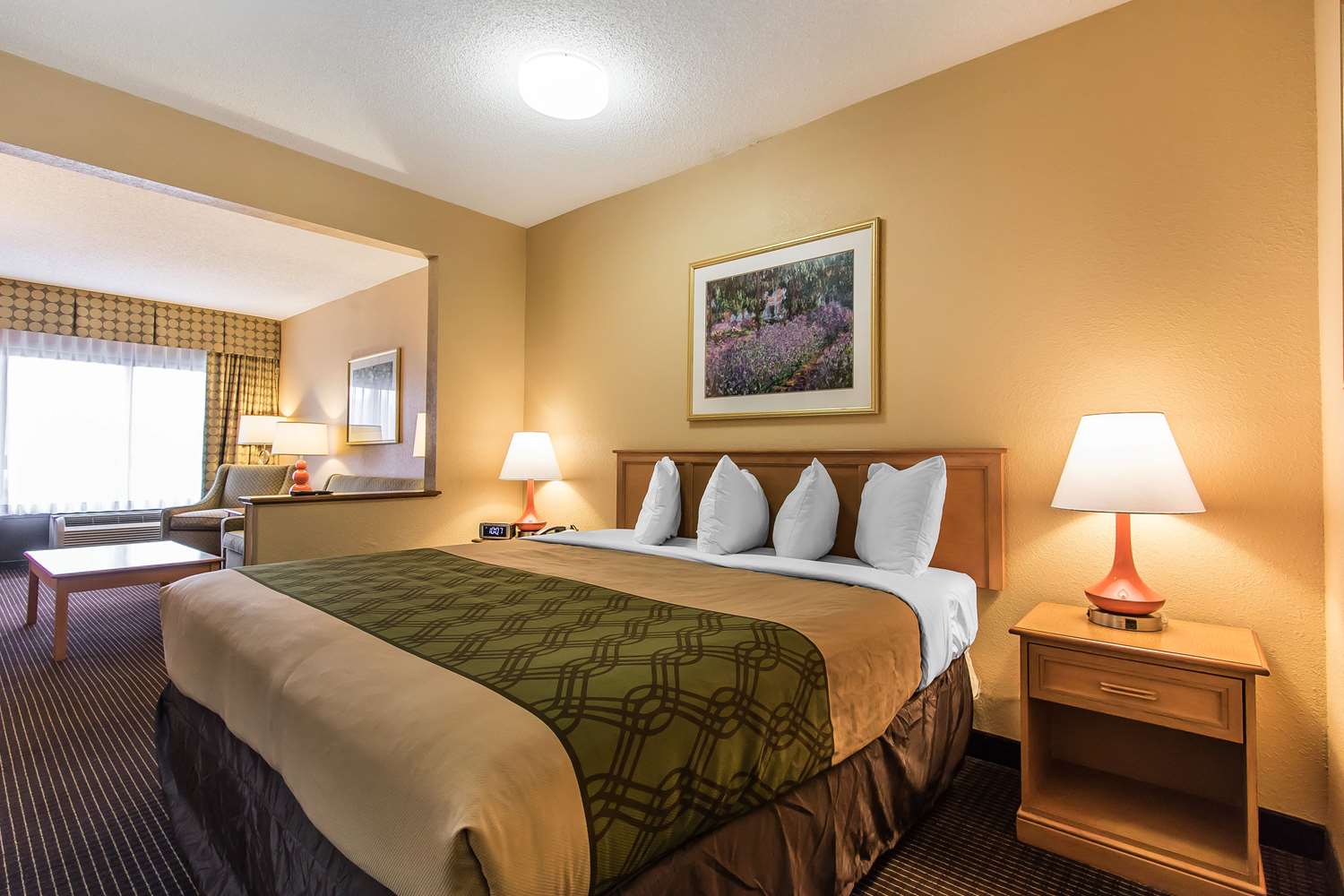 Hotel ECONO LODGE  INN & SUITES