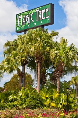 Hotel MAGIC TREE RESORT