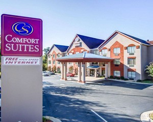 Hotel COMFORT SUITES LAWRENCEVILLE