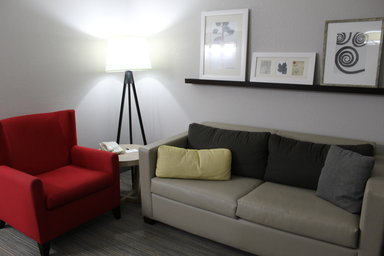 Hotel COUNTRY INN & SUITES BY RADISSON, CARTERSVILLE, GA