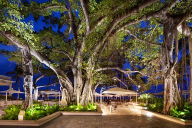 Hotel MOANA SURFRIDER, A WESTIN RESORT & SPA, WAIKIKI BEACH