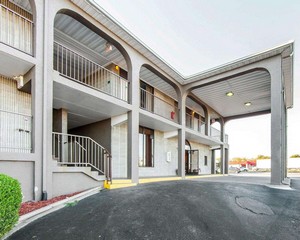 Hotel QUALITY INN MAYSVILLE