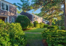 Hotel SOUTHCAPE RESORT AND CLUB
