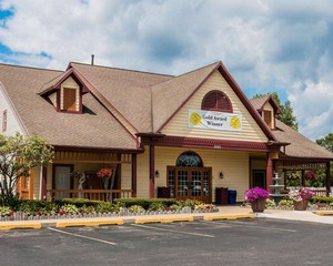 Hotel ECONO LODGE & SUITES